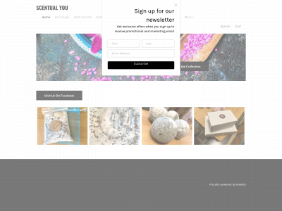 scentualyou.weebly.com snapshot