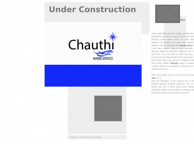 chauthi-ms.nl snapshot