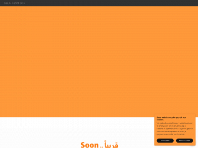 selanetwork.org snapshot