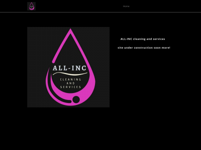 all-incleaning.info snapshot