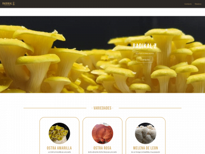 radikalzlab.com snapshot