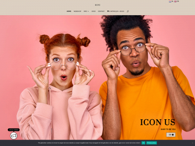 icon-us.nl snapshot