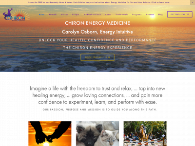 chironenergymedicine.com snapshot