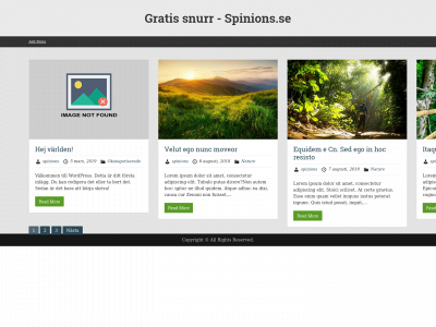 spinions.se snapshot