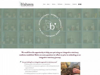 bahavavet.com snapshot
