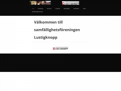 lustigknopp.com snapshot