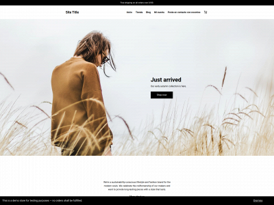 theewatches.com snapshot