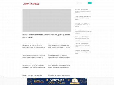 amortusbesos.com snapshot