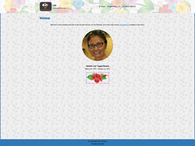 litaebersole.com snapshot