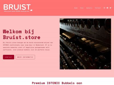 bruist.store snapshot