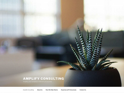 amplifyconsultingllc.com snapshot