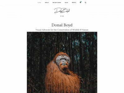 donalboyd.com snapshot