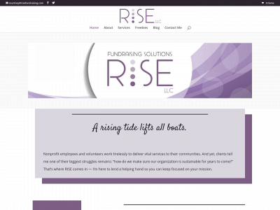 risefundraising.com snapshot