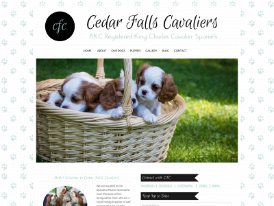 cedarfallscavaliers.com snapshot