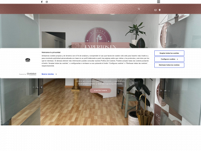 bigeyescompany.com snapshot