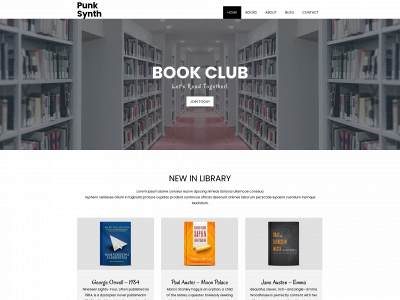 punksynth.com snapshot