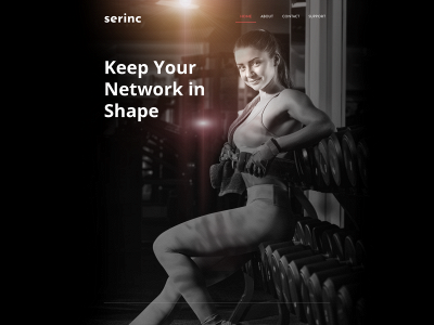 serinc.it snapshot
