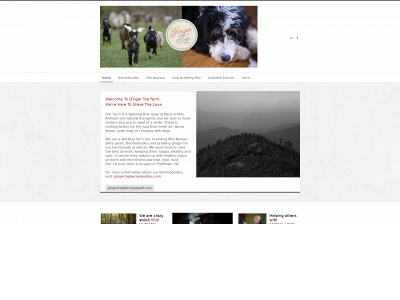 gingertopfarm.com snapshot