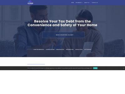 cloudtaxteam.com snapshot