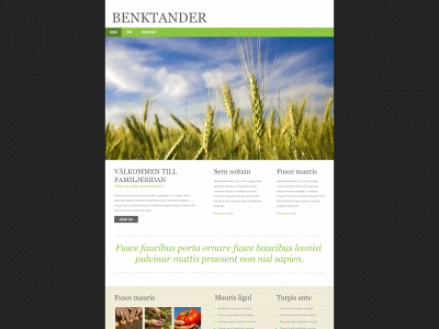 benktander.se snapshot