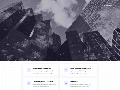 innopulse.io snapshot