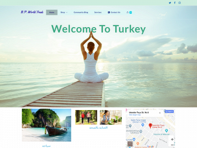 bp-turkey.com snapshot