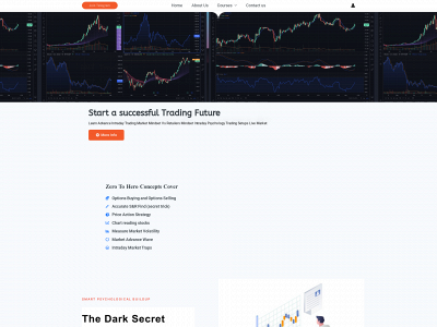 bnttrading.co.in snapshot