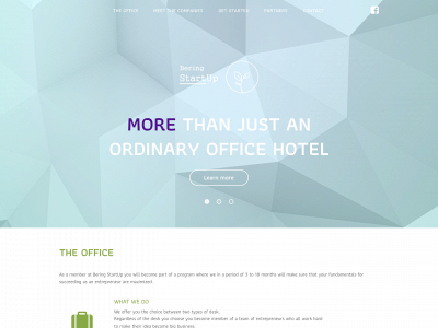 beringstartup.dk snapshot