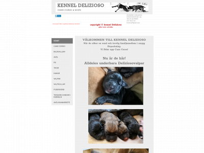 delizioso.se snapshot