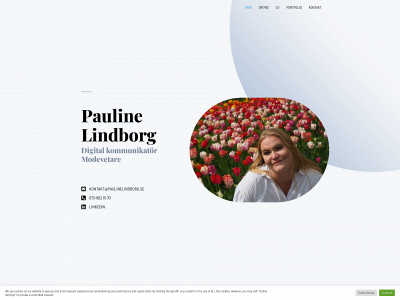 paulinelindborg.se snapshot