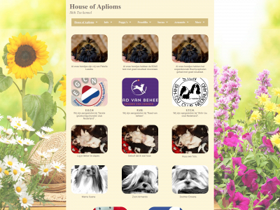 aplioms.nl snapshot