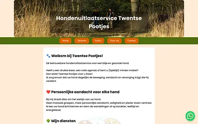 twentsepootjes.nl snapshot