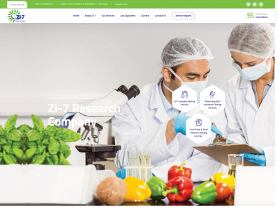 zi-7.com snapshot