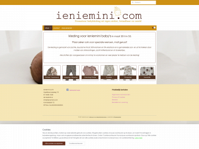 ieniemini.com snapshot
