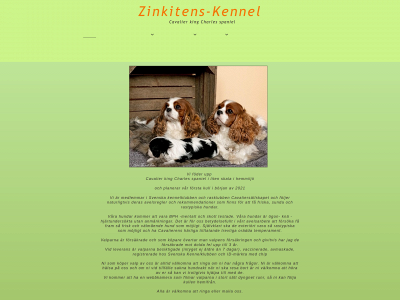 zinkitens-kennel.se snapshot