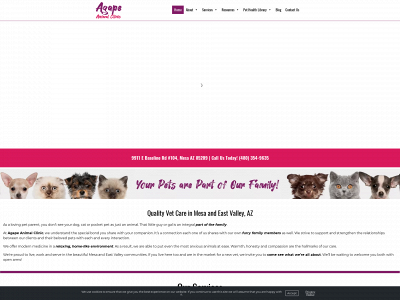 agapeanimalclinic.com snapshot