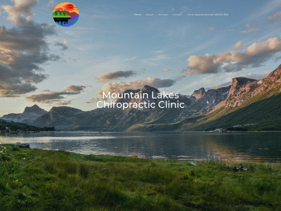 mtlakesclinic.com snapshot