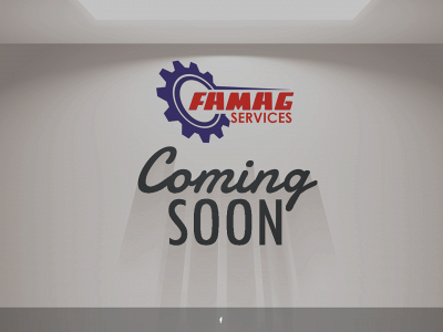 www.famag-services.dz snapshot