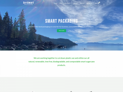 ecosmartpkg.com snapshot