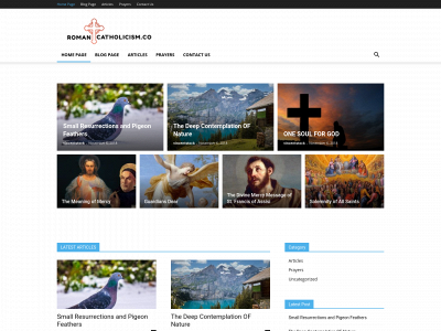 romancatholicism.co snapshot
