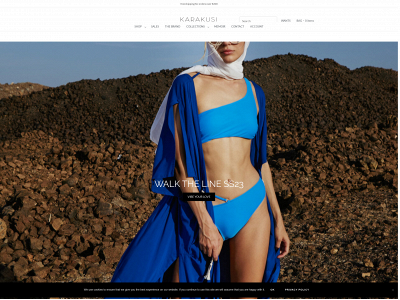 sokarakusi.com snapshot