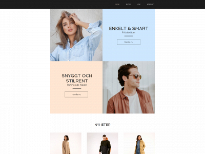 bakzus.se snapshot