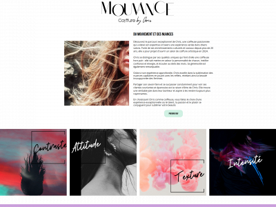 mouvancebychris.fr snapshot