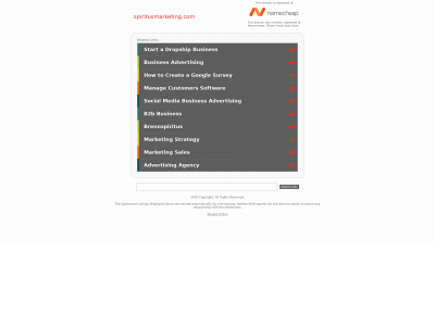 spiritusmarketing.com snapshot
