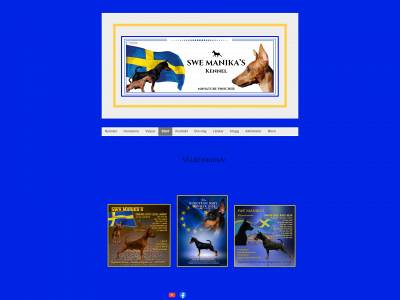 manikas.se snapshot