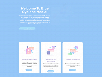bluecyclonemedia.com snapshot
