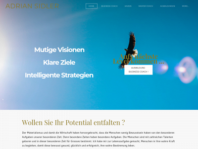 www.adriansidler.com snapshot
