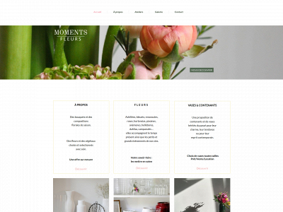 momentsfleurs.be snapshot