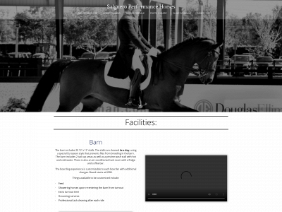 salgueroperformancehorses.com snapshot