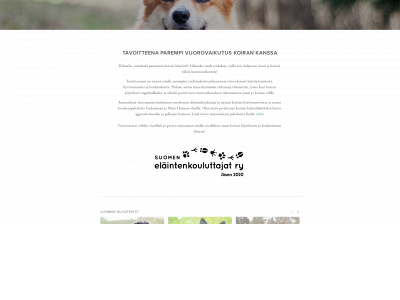 www.vipatusta.net snapshot